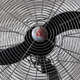 Big Old Fan - VideoHive Item for Sale