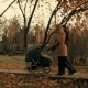 Couple With a Stroller - VideoHive Item for Sale