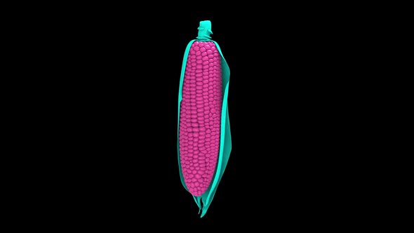 Zine Culture Colored Corn Rotation Animated Background