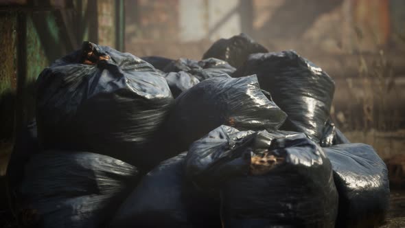 Plastic Trash Bags on Curb Outside City Building