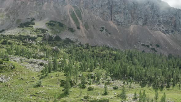 Drone Flight Over Landscape Of Trees To Mountains