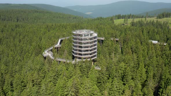 View Of The Pohorje Treetop Walk In The Densely Wooded Mountain In Rogla, Slovenia. aerial drone, or