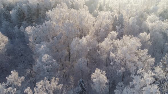 Winter Landscape in Countryside