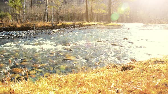 Dolly Slider Shot of the Splashing Water in a Mountain River Near Forest. Wet Rocks and Sun Rays