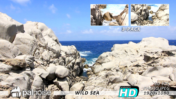 Cliff Wild Brave Sea (3-Pack)