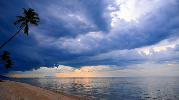 Sandy Beach with Palms in Storm