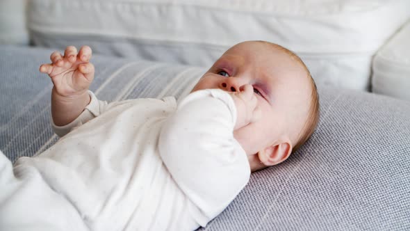 Sweet Adorable Baby Lying on Couch