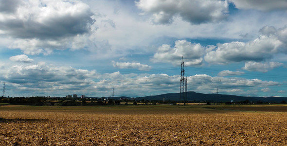 Landscape Field and Electric Poles 2