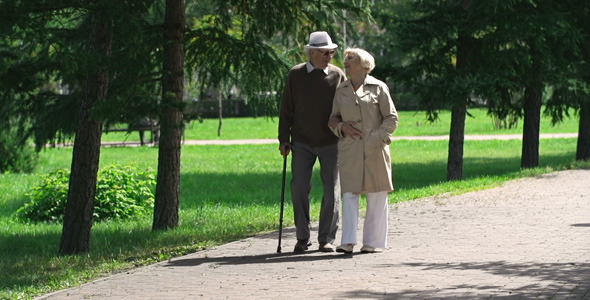 Absorbed in Each Other alt