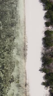 Vertical Video of Low Tide in the Ocean Near the Coast of Zanzibar Tanzania