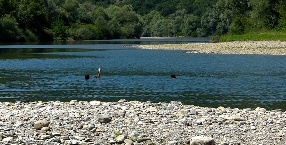 Children Bathing in the River 2