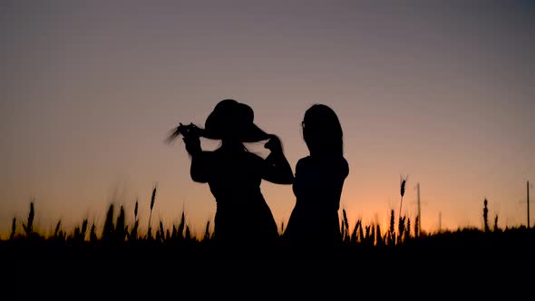 Two Young Women in a Dress Stand in a Wheat Field on a Sunset Background. Black Silhouette of Girls