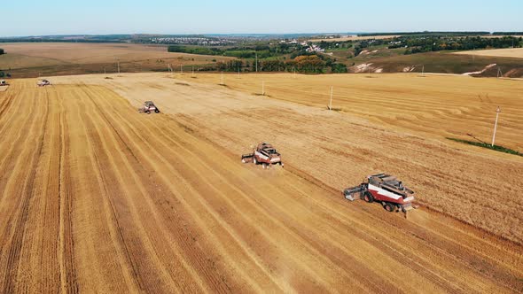 Crop Harvesting Concept. Working Machines Plow Crops on a Field.