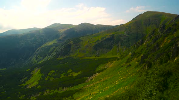 Carpathian Mountains Landscape in Summer