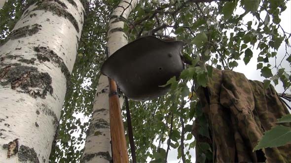 Mauser Rifle, German Helmet And Birch 