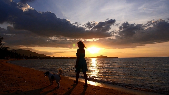 Woman Walking with Dog on Sunset Beach
