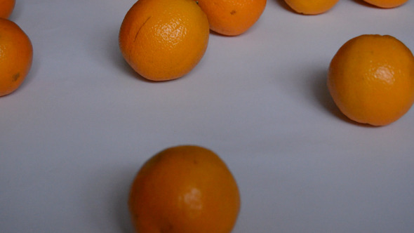 Oranges Roll on White Background