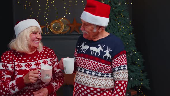 Senior Grandmother Grandmother Enjoying Pleasant Christmas Conversation Drinking Hot Tea at Home