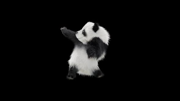 Panda Dancing HD