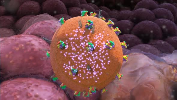 Medical Animation of removal of tumor cells