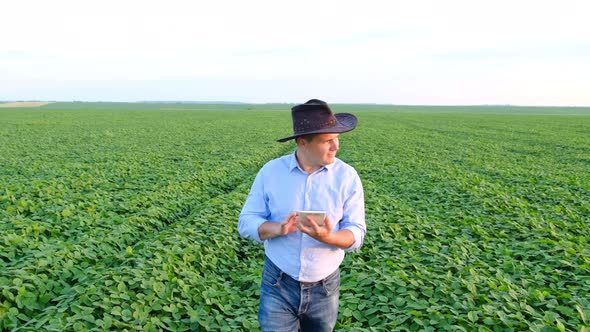 Agribusiness  Check the Growth of Soybeans Using a Tablet Green Soybean Field