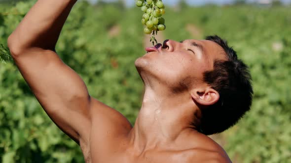 Tanned Guy Eating Grapes From Bunches Greedily