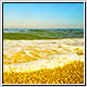 Wave Beach and Gold Sand - VideoHive Item for Sale
