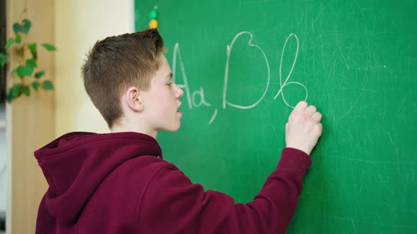 Teenage boy studying at school