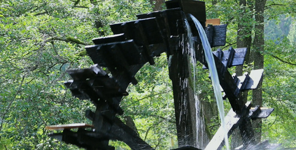 Water Wheel In The Forest