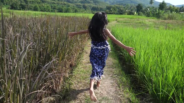 Girl Running In Rice Field