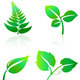 Green Leaves Icons - GraphicRiver Item for Sale