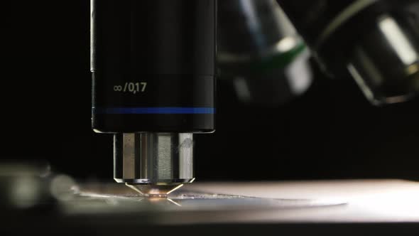 Hand in Glove Turns Microscope Lenses