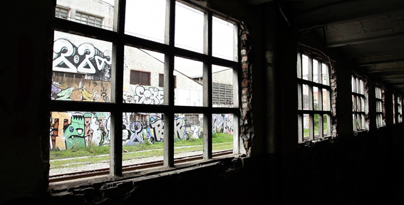 Abandoned Factory Windows