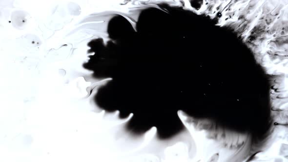Micro shot of rorschach ink blot