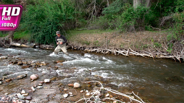 In Search of Trout