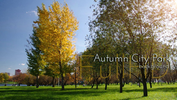 Autumn City Park