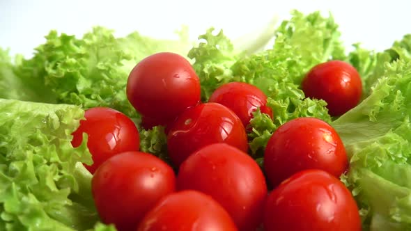 Washing of Lettuce Leaves and Tomatoes 2