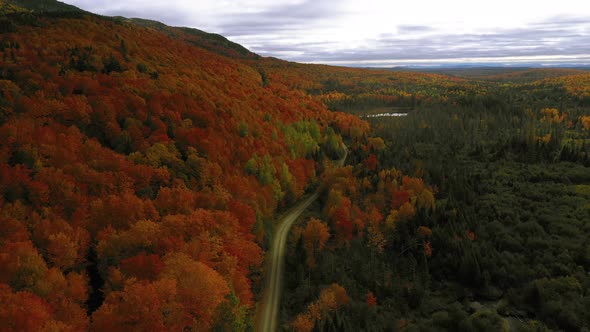 Aerial footage lowering down close to a dirt road in an autumn forest in northern maine