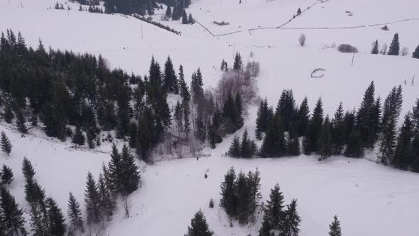 Aerial view of a dog sled