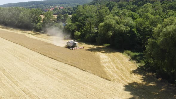 Aerial Drone Shot  a Combine Harvester Works in a Field in a Rural Area on a Sunny Day