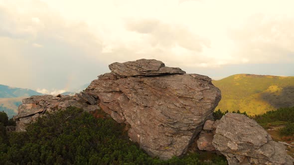 Summer Landscape in the Carpathian Mountains