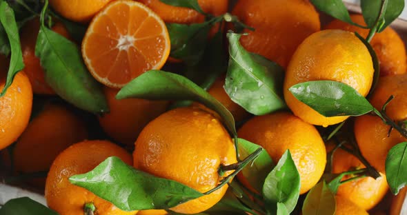 Ripe Tangerines with Leaves Slowly Rotate