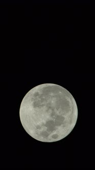 Vertical Video of the Full Moon in the Night Sky