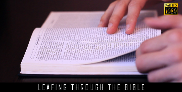 Leafing Through The Bible 2