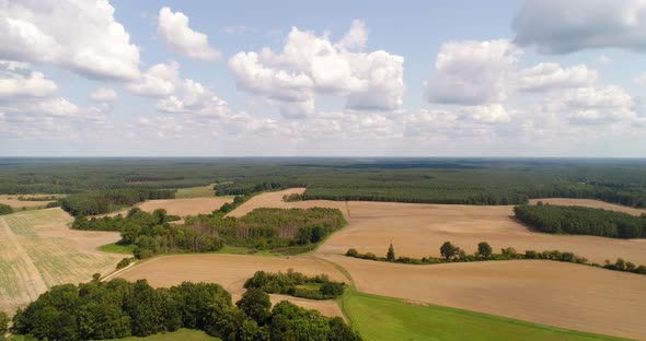 Aerial View of Forest in Summer