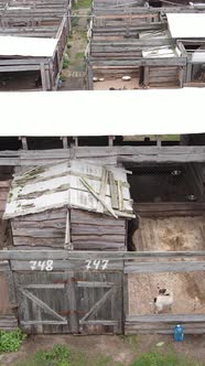 Aerial View of a Shelter for Stray Dogs