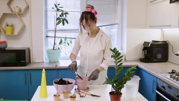 A Cute Girl Transplants a Plant at Home in Garden Gloves