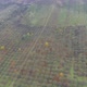 Aerial shot autumn garden - VideoHive Item for Sale