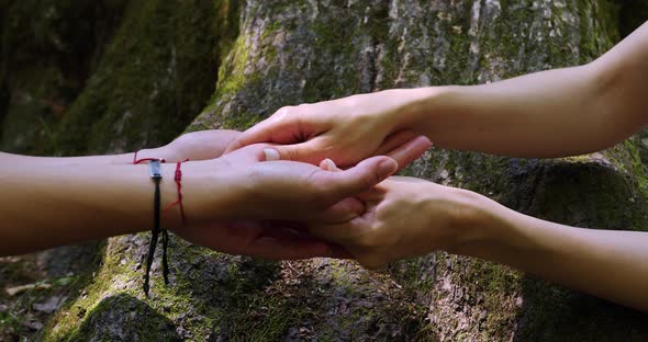 massage of beautiful female hands in nature against a background of wood