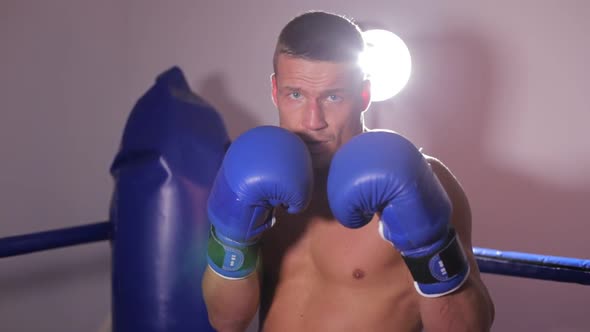 Boxer in Blue Gloves Beats Bag and Prepares for Professional Boxing